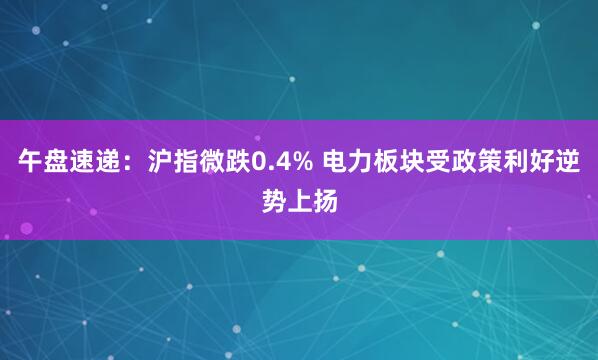 午盘速递：沪指微跌0.4% 电力板块受政策利好逆势上扬