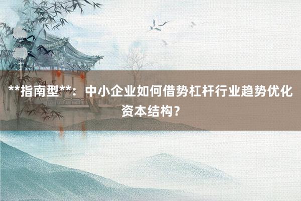 **指南型**：中小企业如何借势杠杆行业趋势优化资本结构？