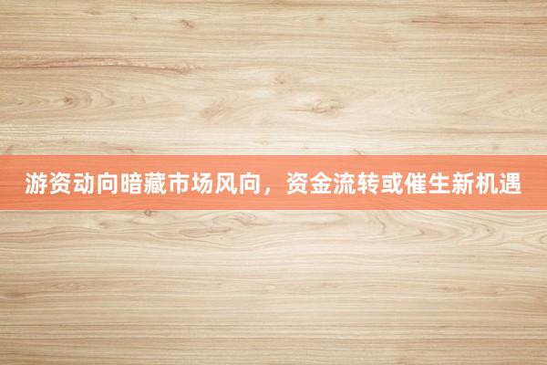 游资动向暗藏市场风向，资金流转或催生新机遇