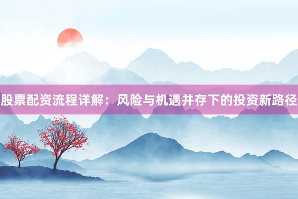股票配资流程详解：风险与机遇并存下的投资新路径