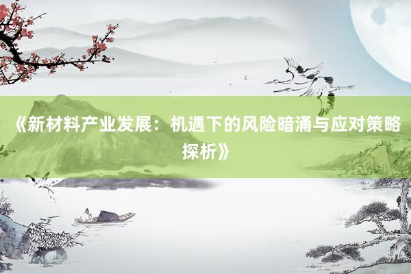 《新材料产业发展：机遇下的风险暗涌与应对策略探析》