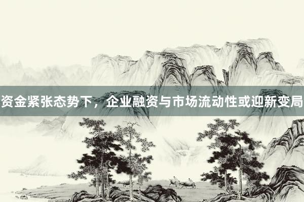 资金紧张态势下，企业融资与市场流动性或迎新变局
