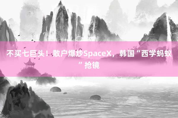 不买七巨头！散户爆炒SpaceX，韩国“西学蚂蚁”抢镜