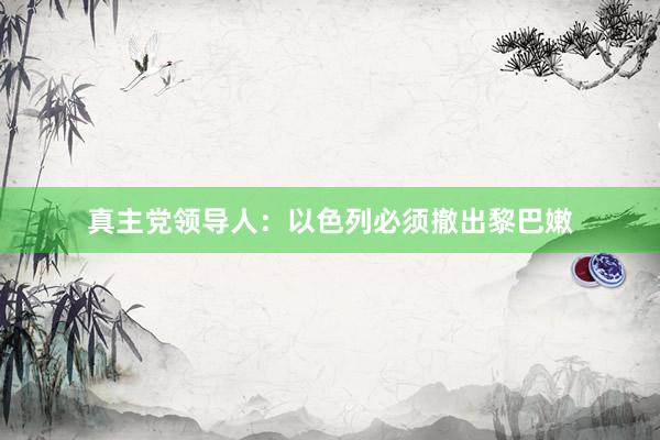 真主党领导人：以色列必须撤出黎巴嫩