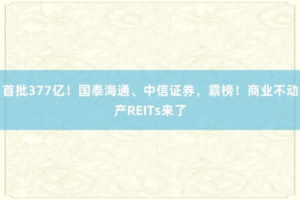 首批377亿！国泰海通、中信证券，霸榜！商业不动产REITs来了