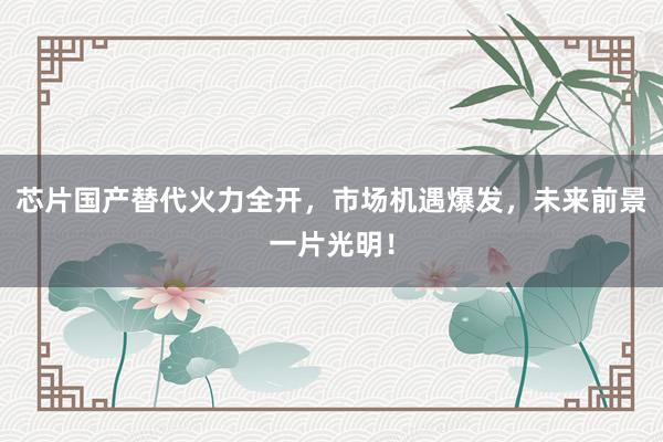 芯片国产替代火力全开，市场机遇爆发，未来前景一片光明！