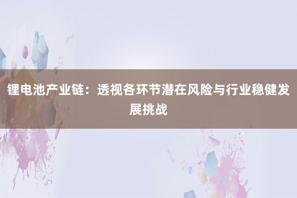 锂电池产业链：透视各环节潜在风险与行业稳健发展挑战