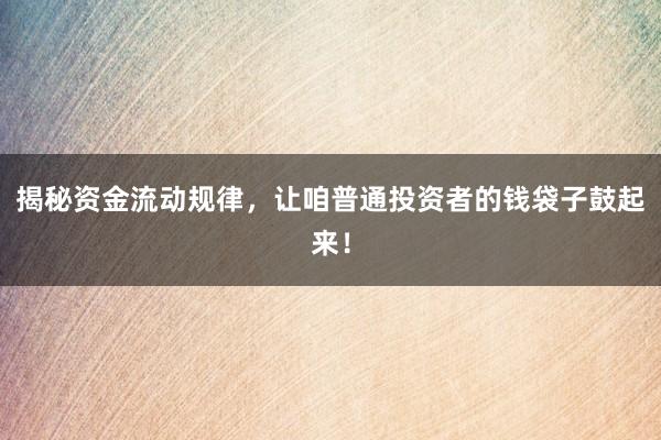揭秘资金流动规律，让咱普通投资者的钱袋子鼓起来！