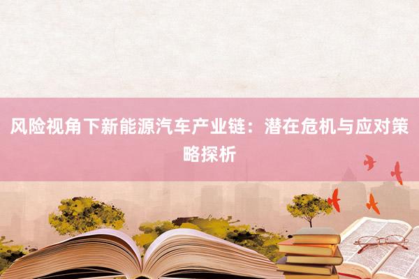风险视角下新能源汽车产业链：潜在危机与应对策略探析
