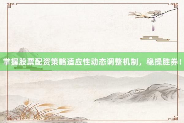 掌握股票配资策略适应性动态调整机制，稳操胜券！