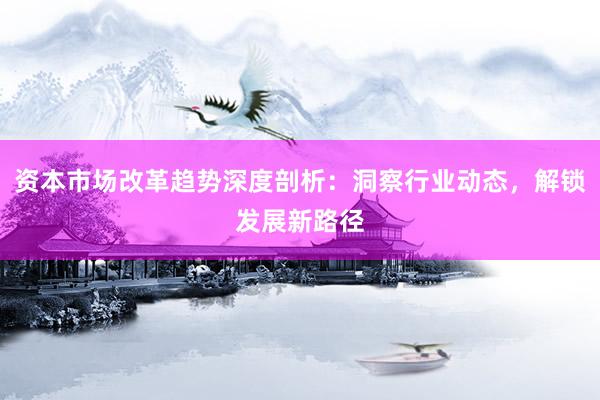 资本市场改革趋势深度剖析：洞察行业动态，解锁发展新路径