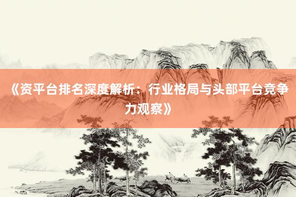 《资平台排名深度解析：行业格局与头部平台竞争力观察》