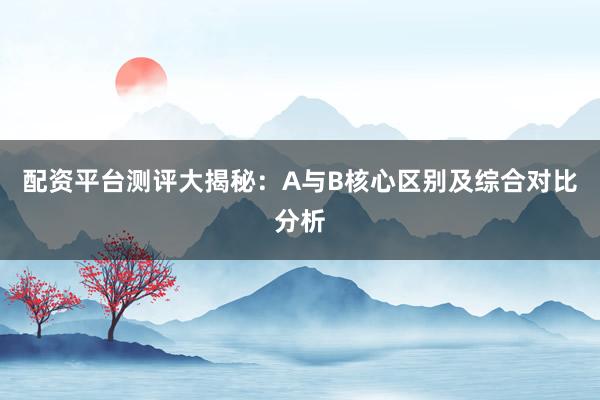 配资平台测评大揭秘：A与B核心区别及综合对比分析