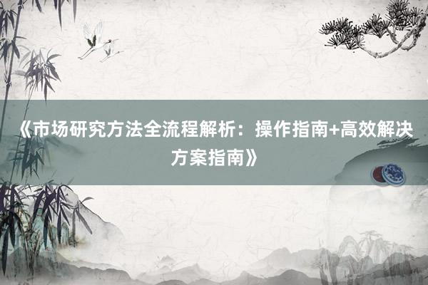 《市场研究方法全流程解析：操作指南+高效解决方案指南》